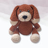 Bruno- The Dog