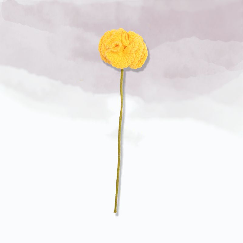 Carnation