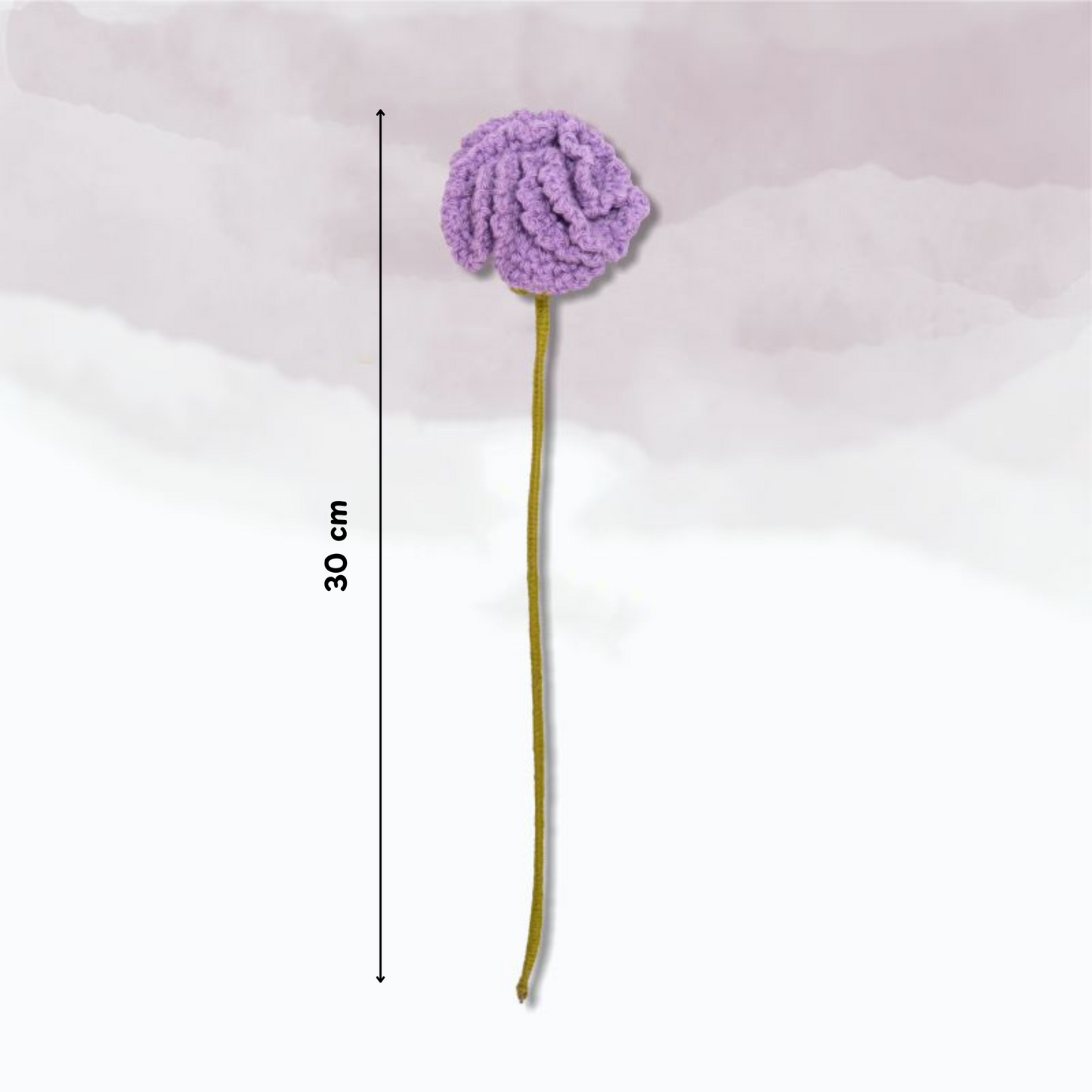 Carnation