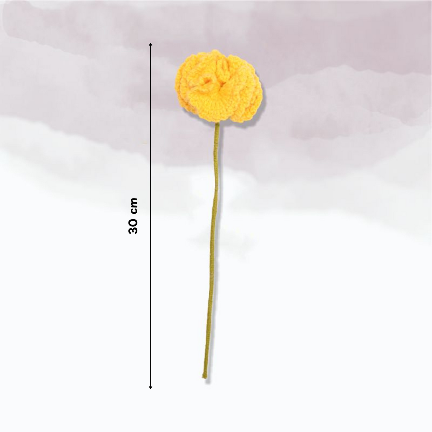 Carnation
