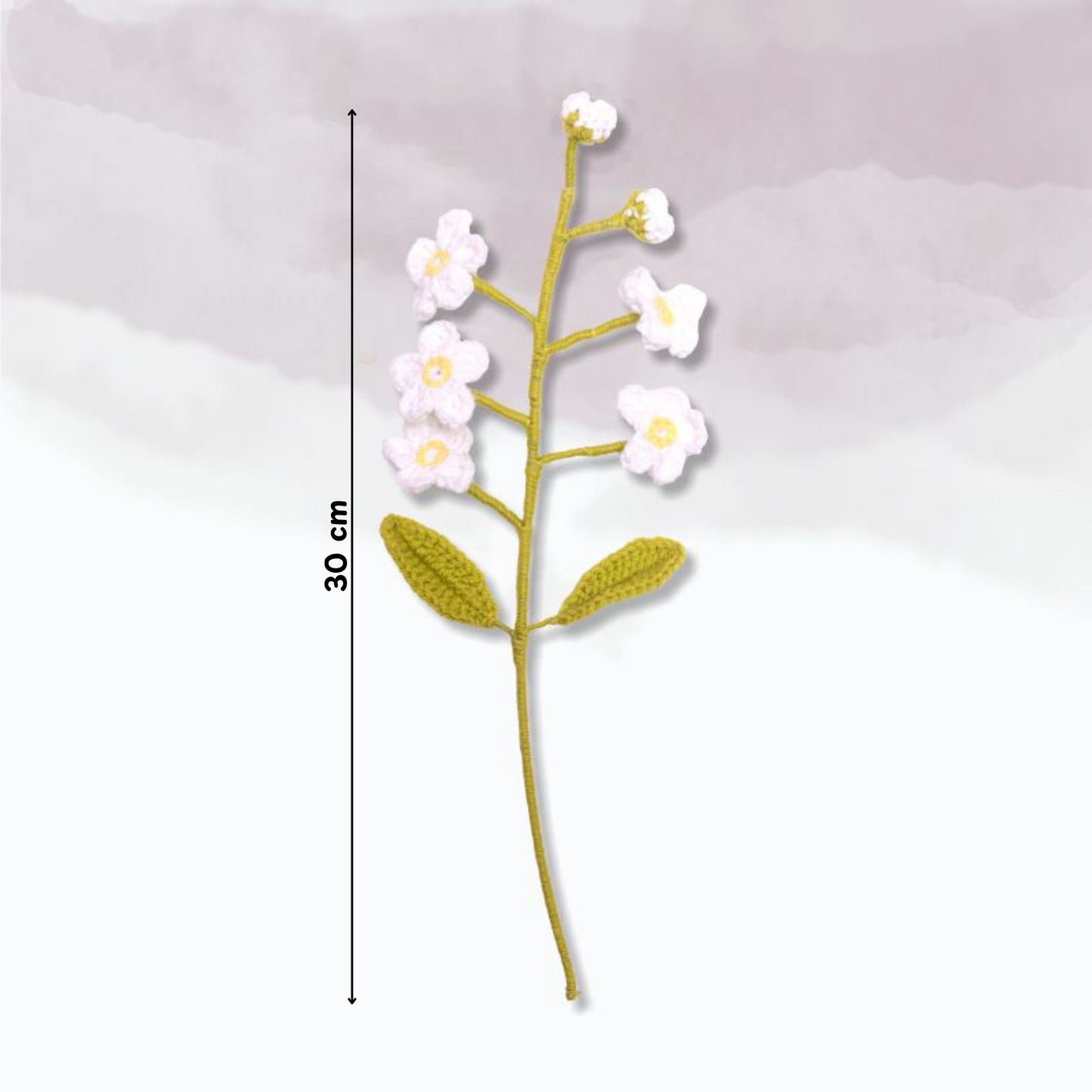 Forget Me Not