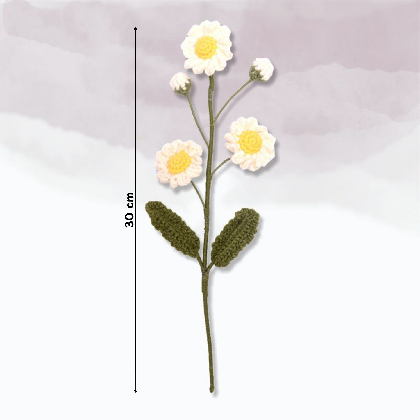 Small Daisy