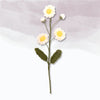 Small Daisy