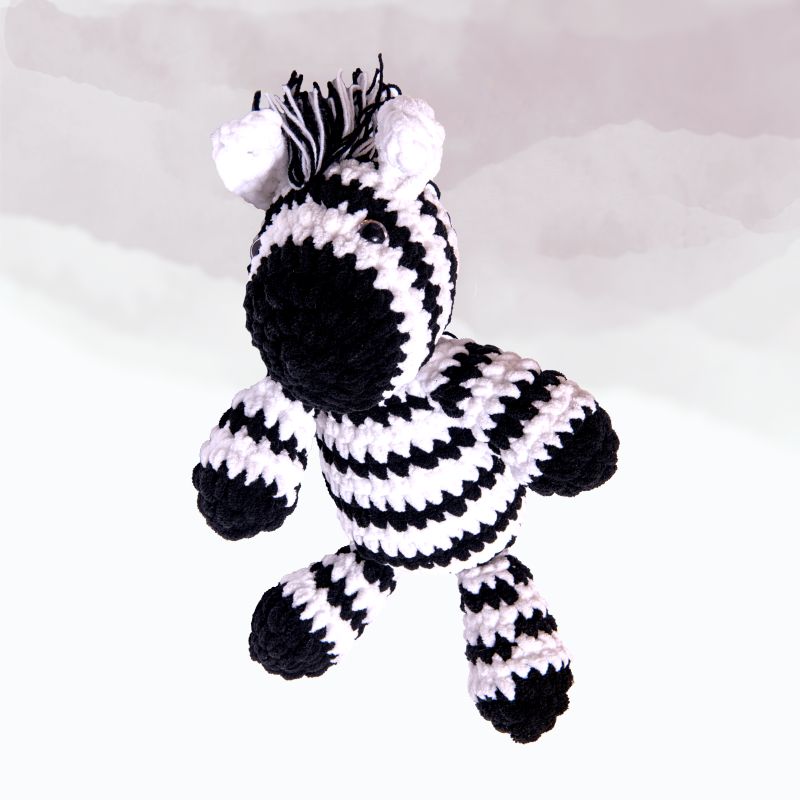 Zo- The Baby Zebra