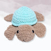 Cloudy Turtle