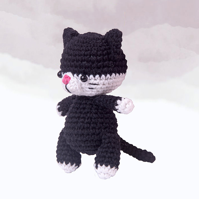 Kitty Cat