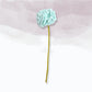 Carnation