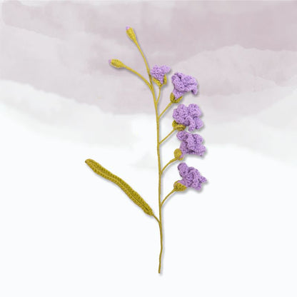 Freesia
