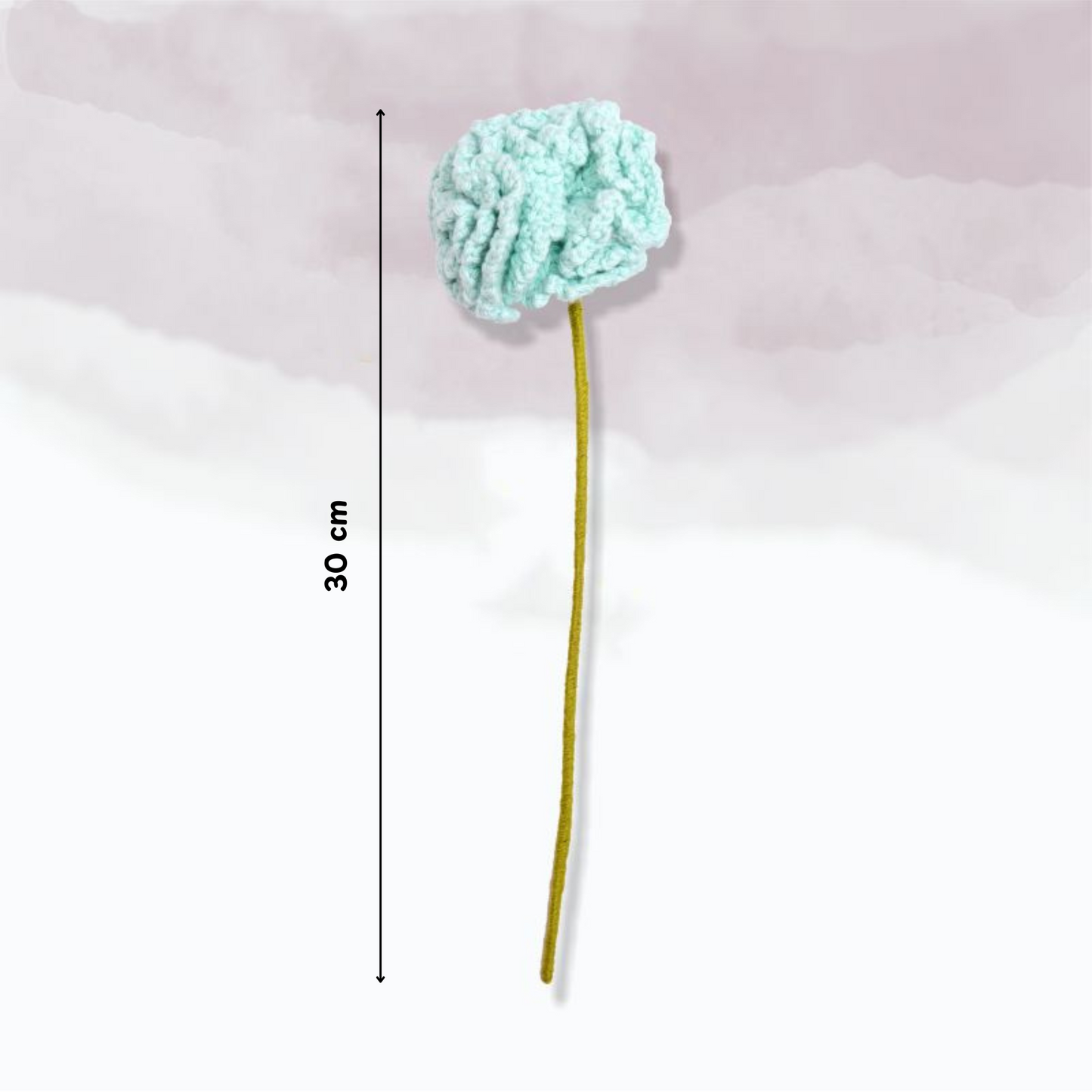 Carnation