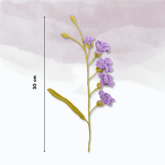 Freesia