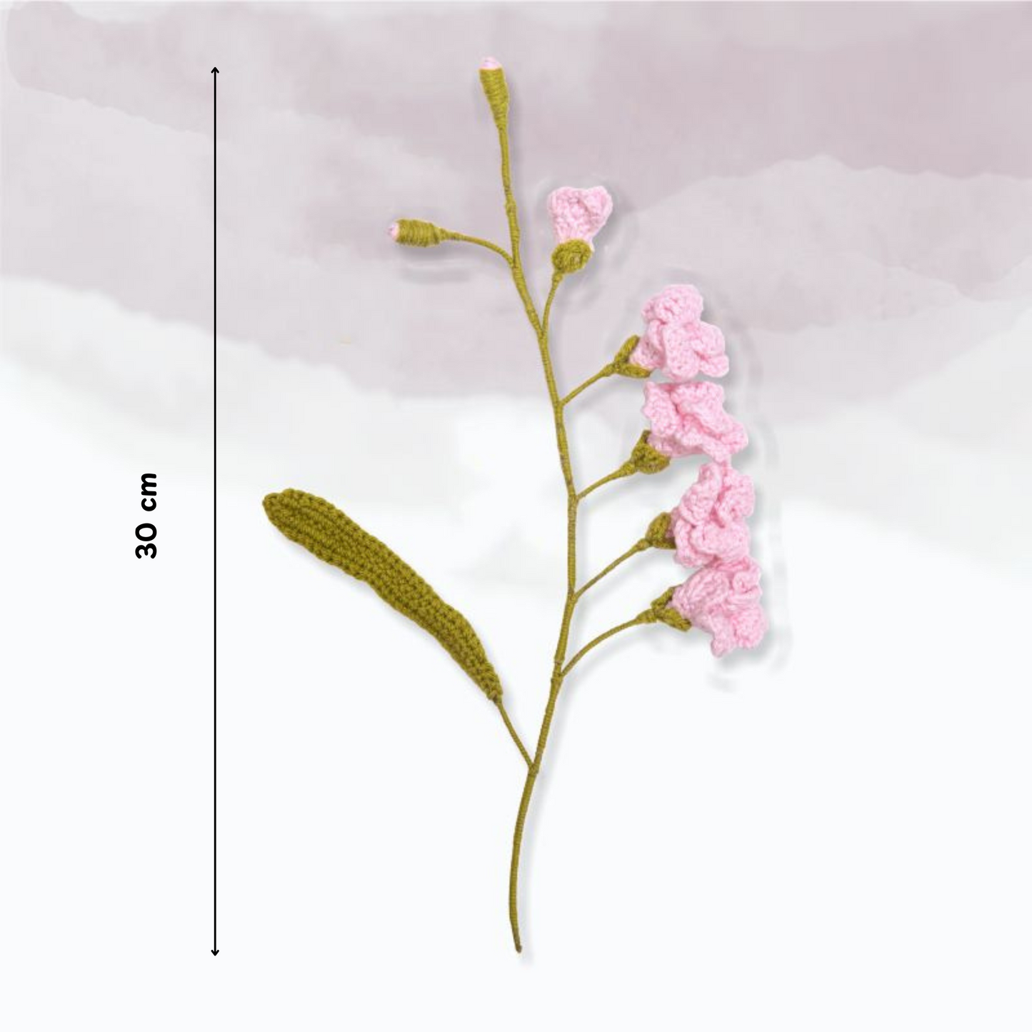 Freesia
