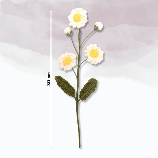 Small Daisy