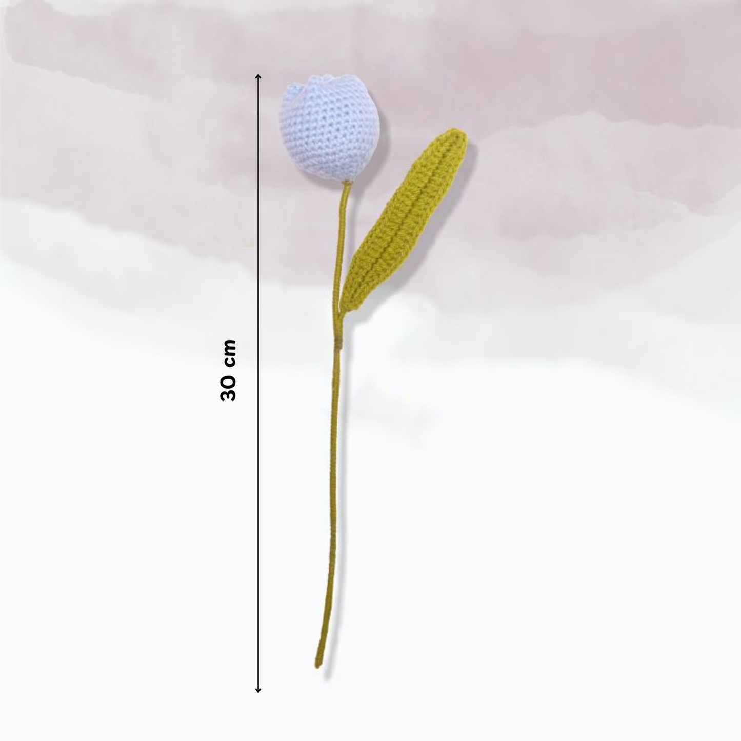 Tulip