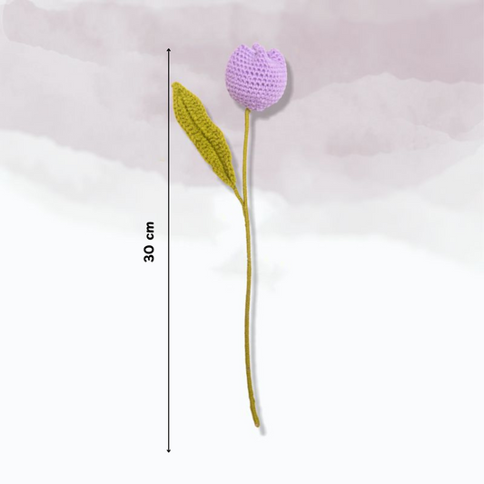 Tulip