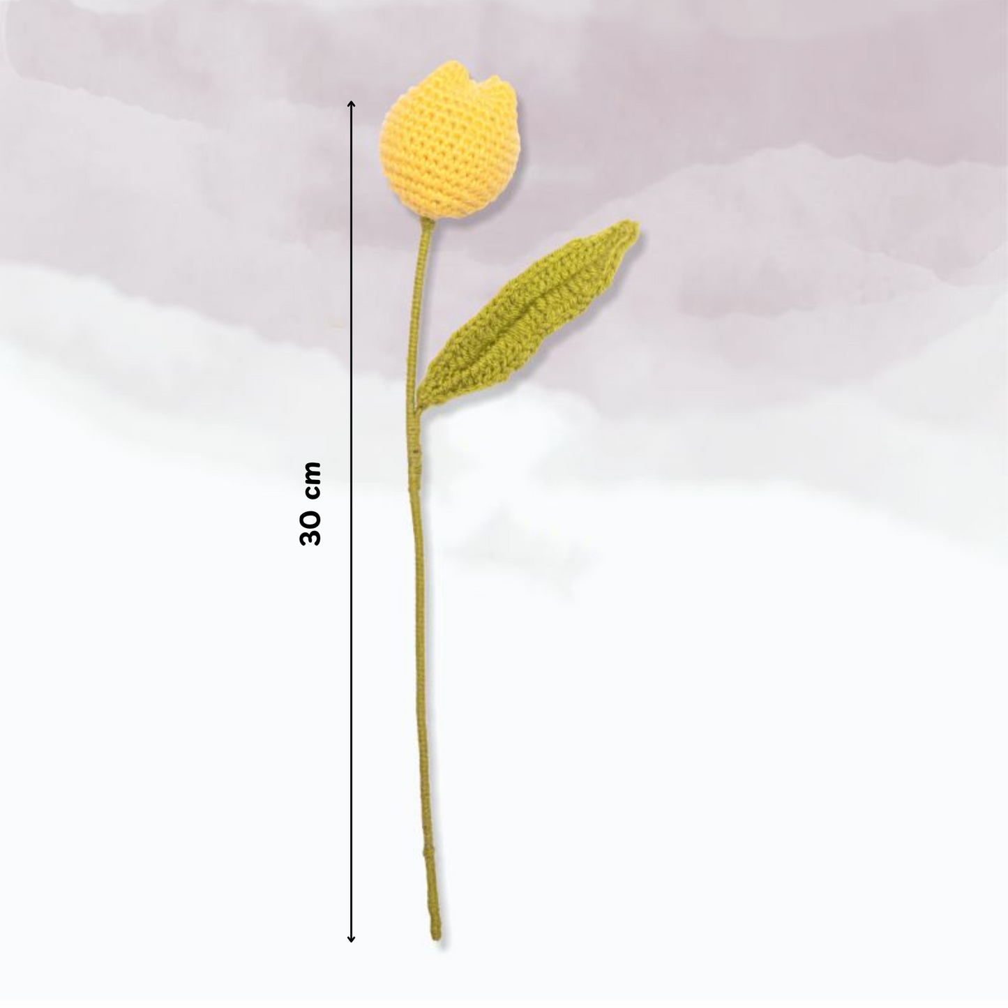 Tulip