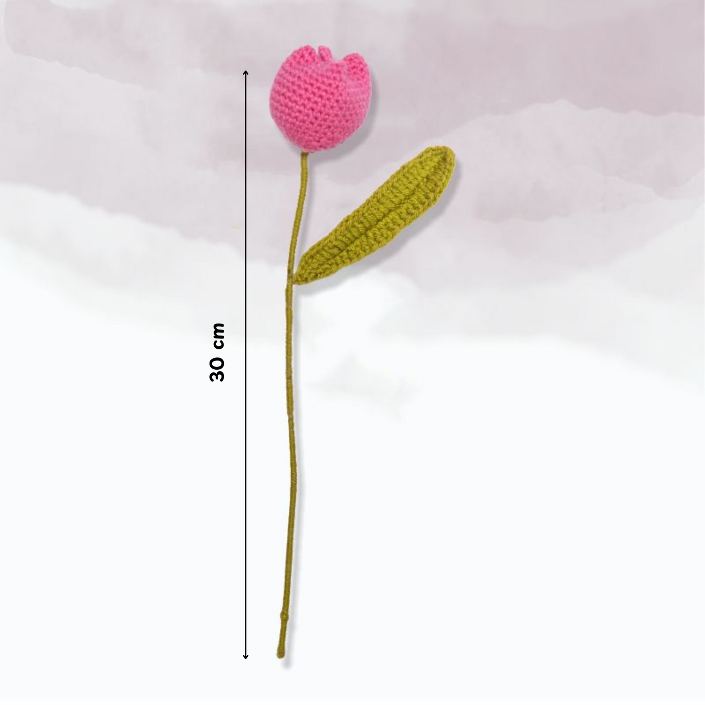 Tulip