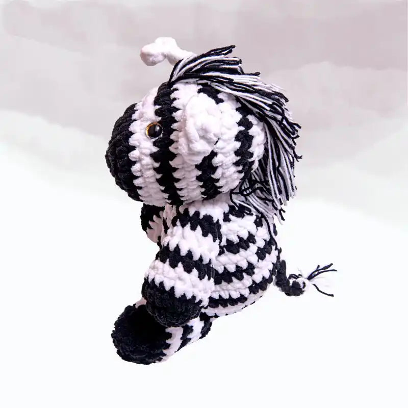 Zo- The Baby Zebra